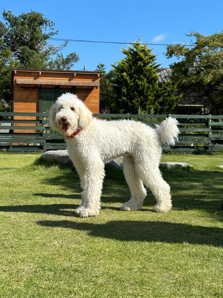 ワンちゃんと泊まれるコテージ　西野納屋 Kujukuri Εξωτερικό φωτογραφία
